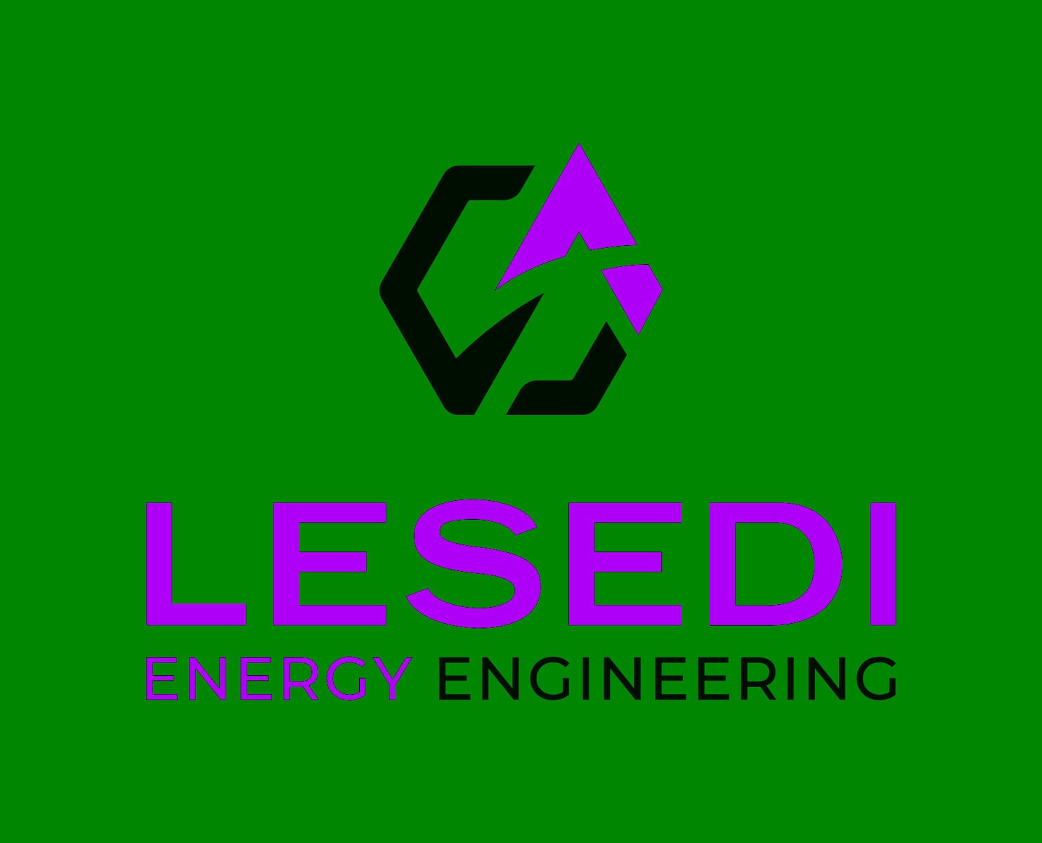 Lesedi | Enlit Africa | Energy | VUKA Group