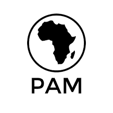 PAM Africa GreenGrid Initiative: 1 MW Interconnected Mini-Grid, Kano