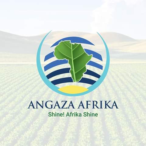 Angaza Africa (Pty) Ltd