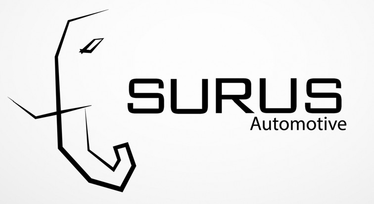 Local Electric Vehicle Manufacturing