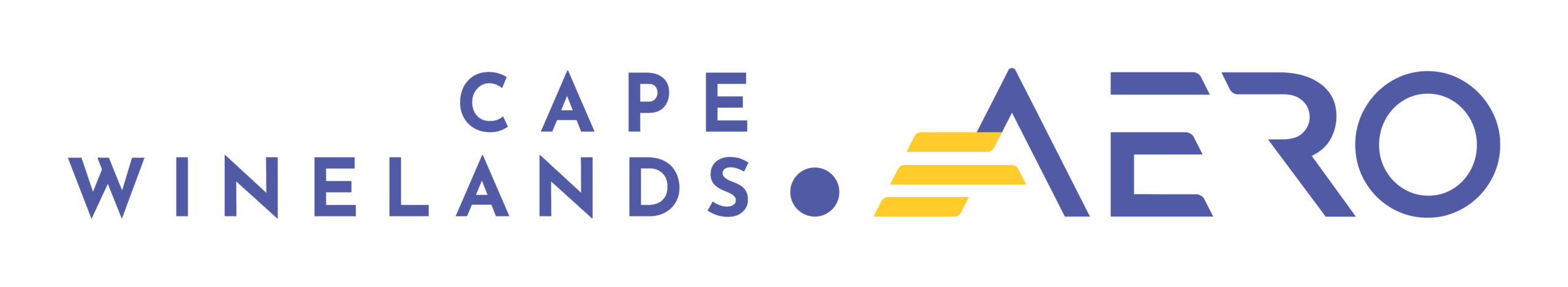 Aéroport de Cape Winelands