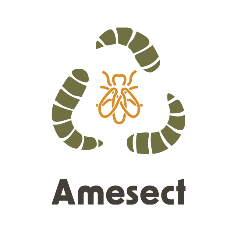Amesect