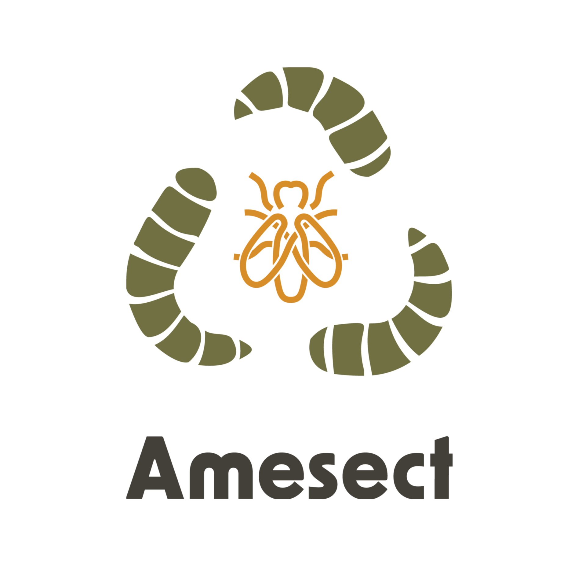 Amesect