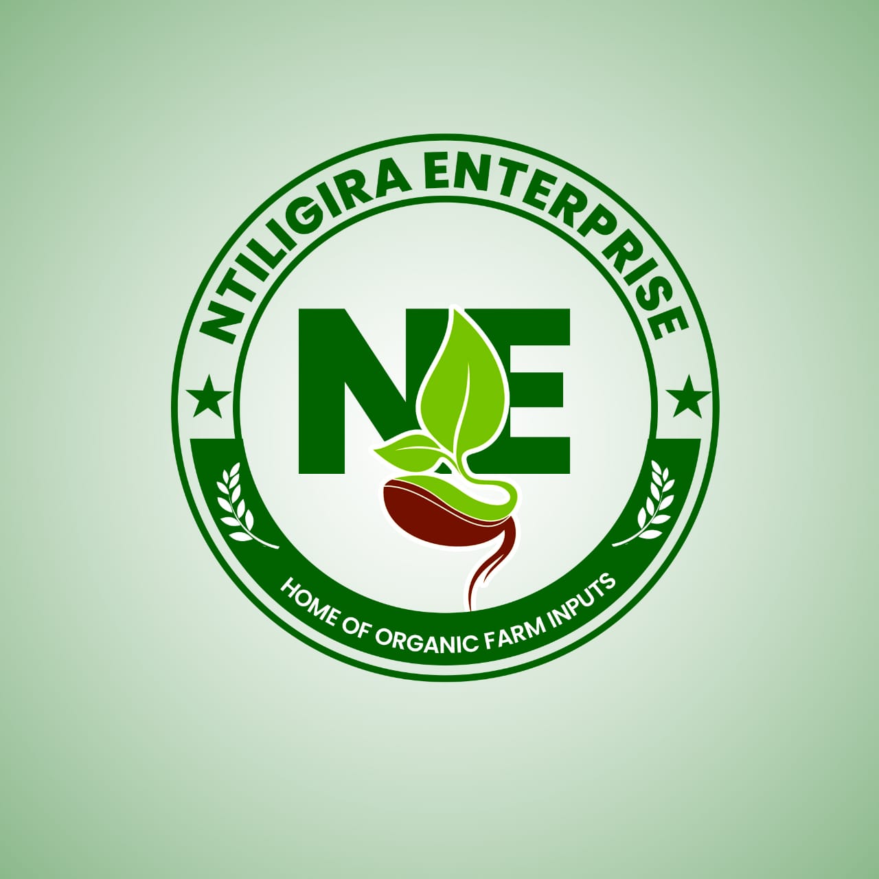 Entreprise Ntiligira
