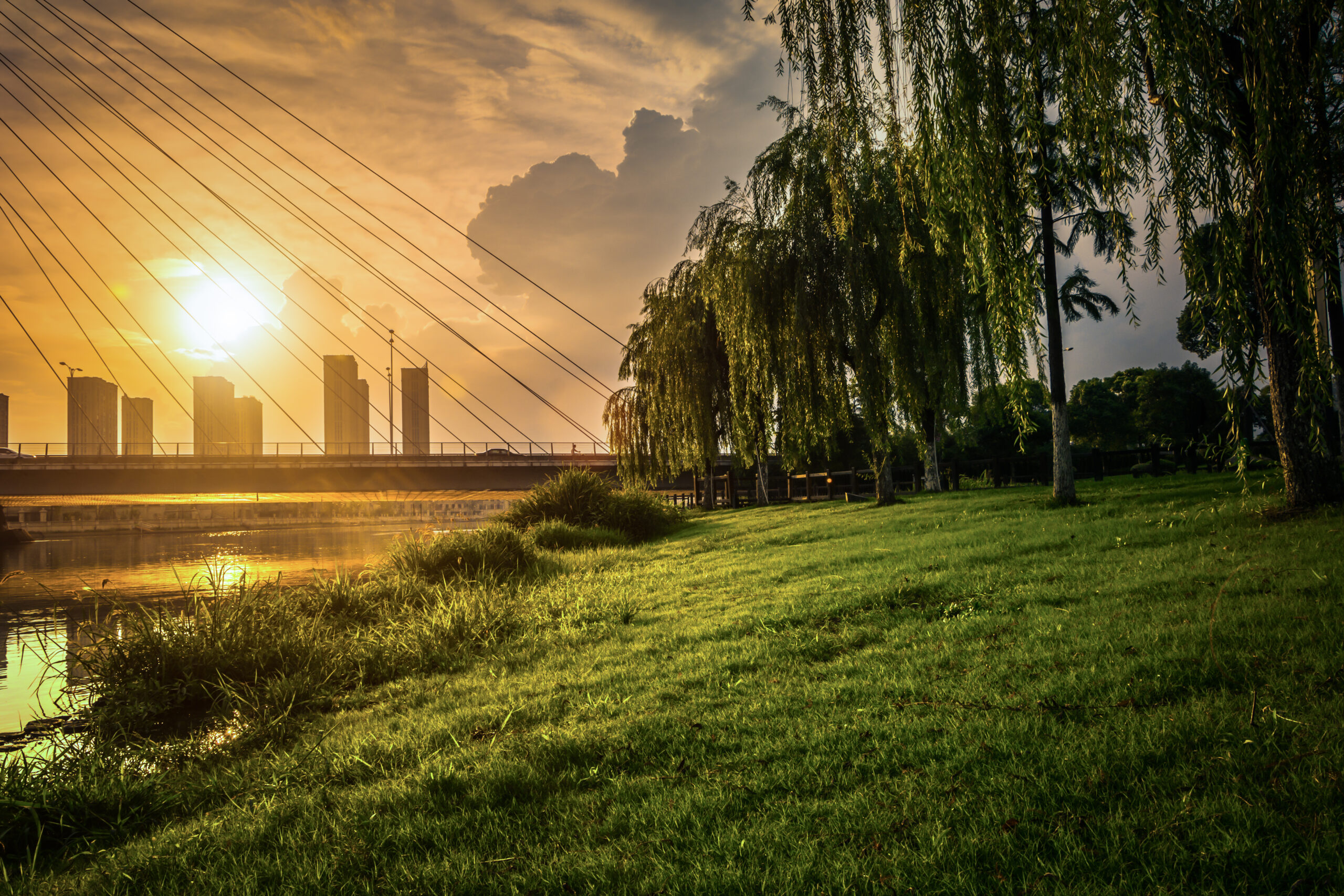 Infrastructure & Project Finance Investors