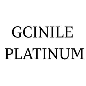 Gcinile Platinum Mine (Pty) Ltd